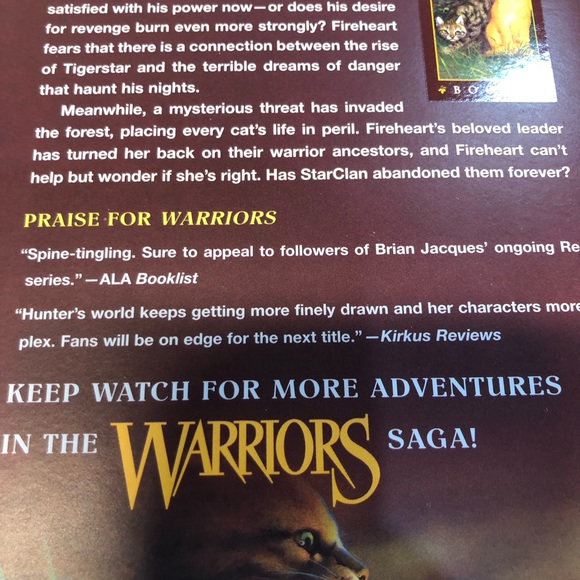 Vintage Warriors Series by Erin Hunter Set of 6 books 2003-2004 Cats Adventure - Picture 5 of 14
